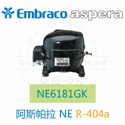 NE6181GK